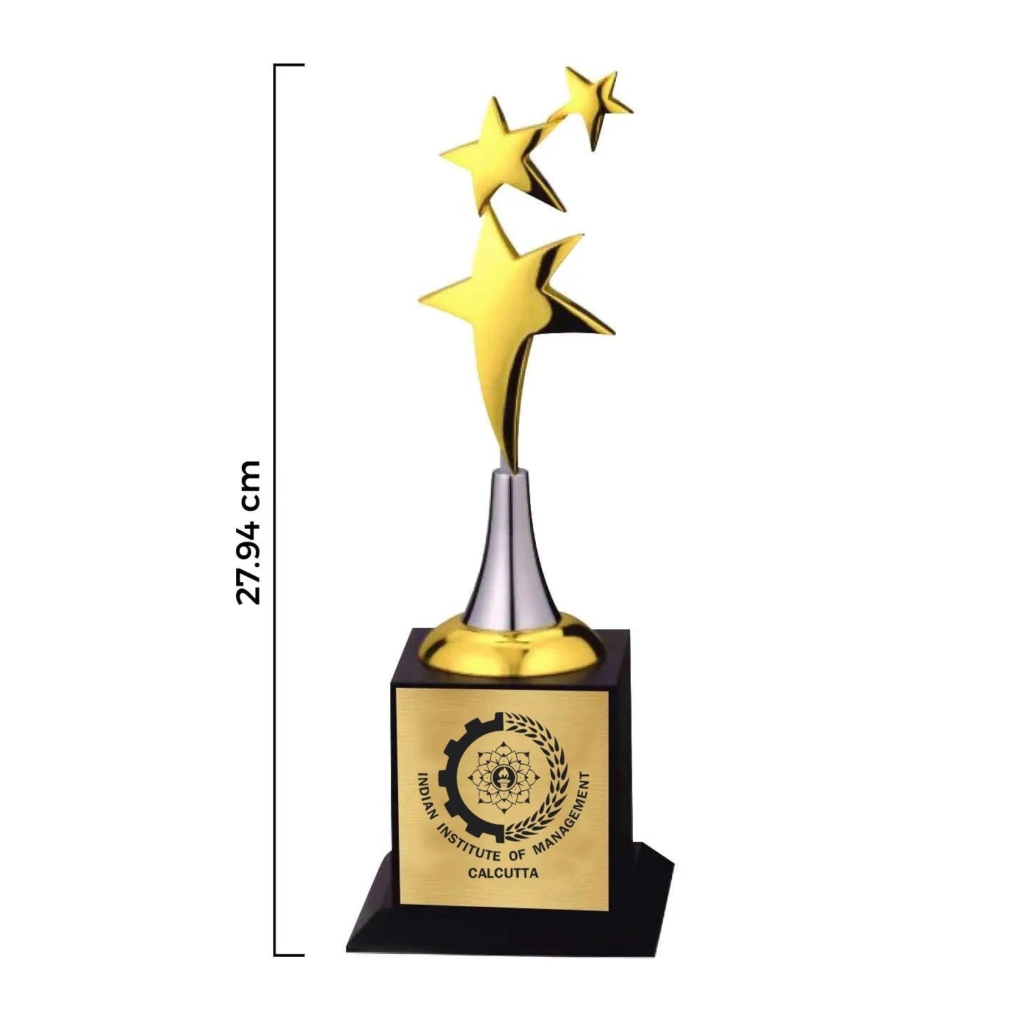Classic 3-Star Golden Triumph IIMC Trophy