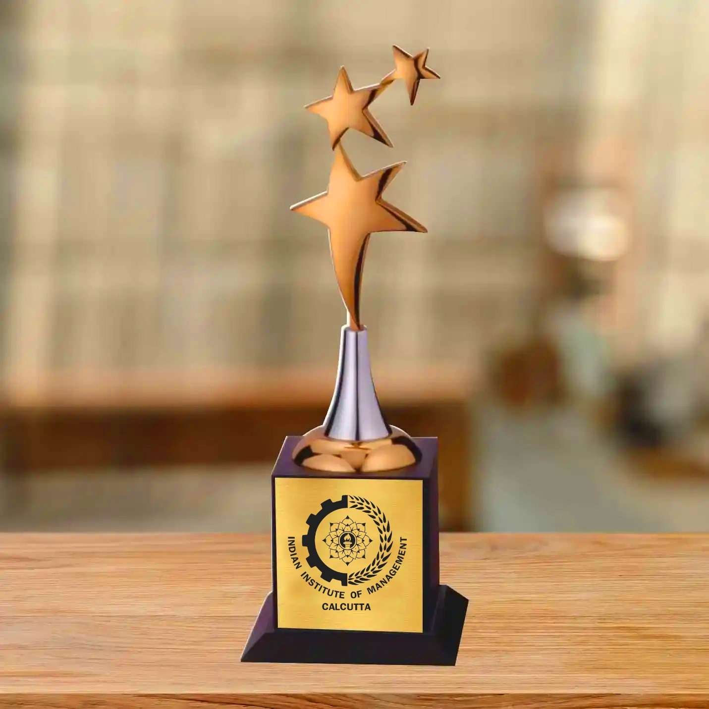 Classic 3-Star Bronze Vanquisher IIMC Trophy