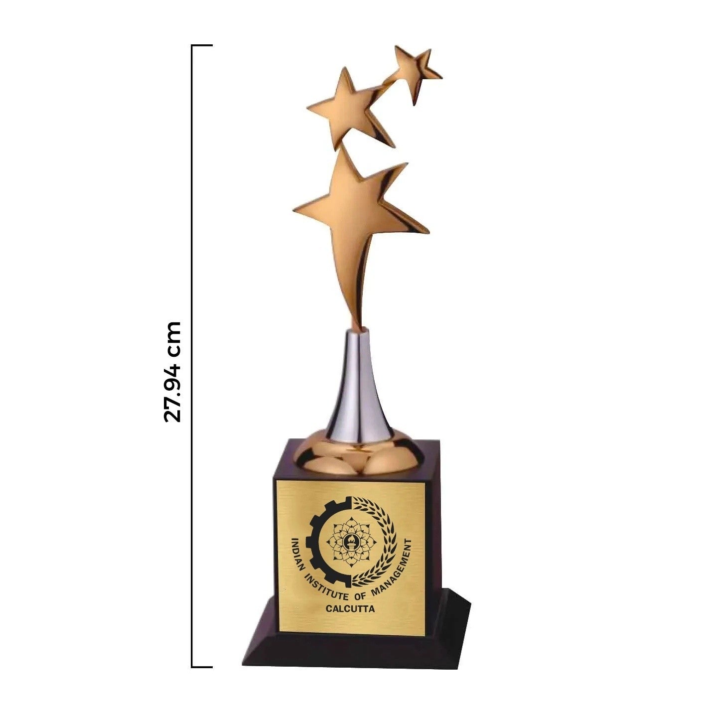 Classic 3-Star Bronze Vanquisher IIMC Trophy