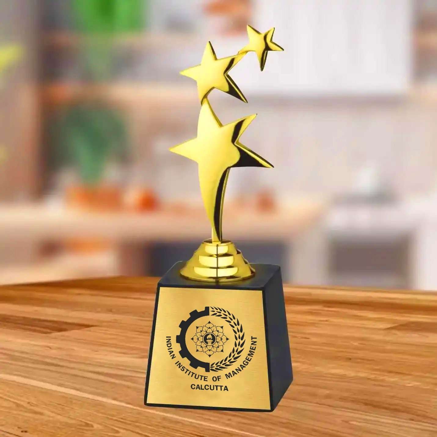 Three Star Glory IIMC Trophy – 9 Inch