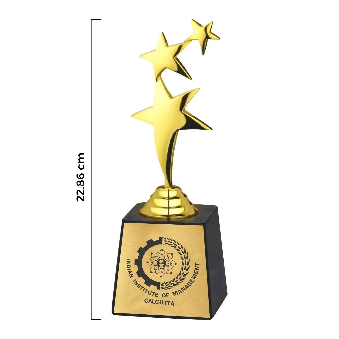 Three Star Glory IIMC Trophy – 9 Inch