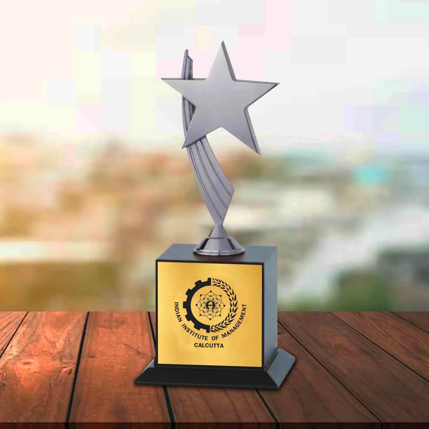 Premium Compact Silver Champion IIMC Trophy