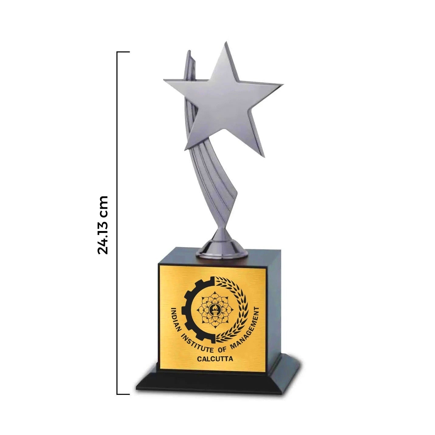Premium Compact Silver Champion IIMC Trophy