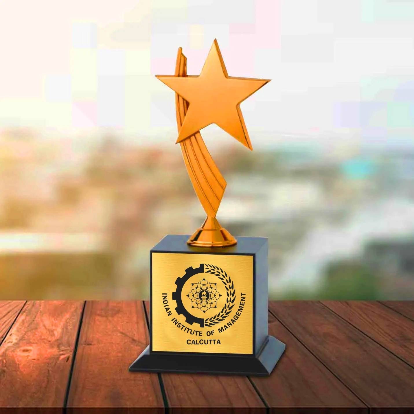 Elegant Compact Bronze Victory IIMC Trophy