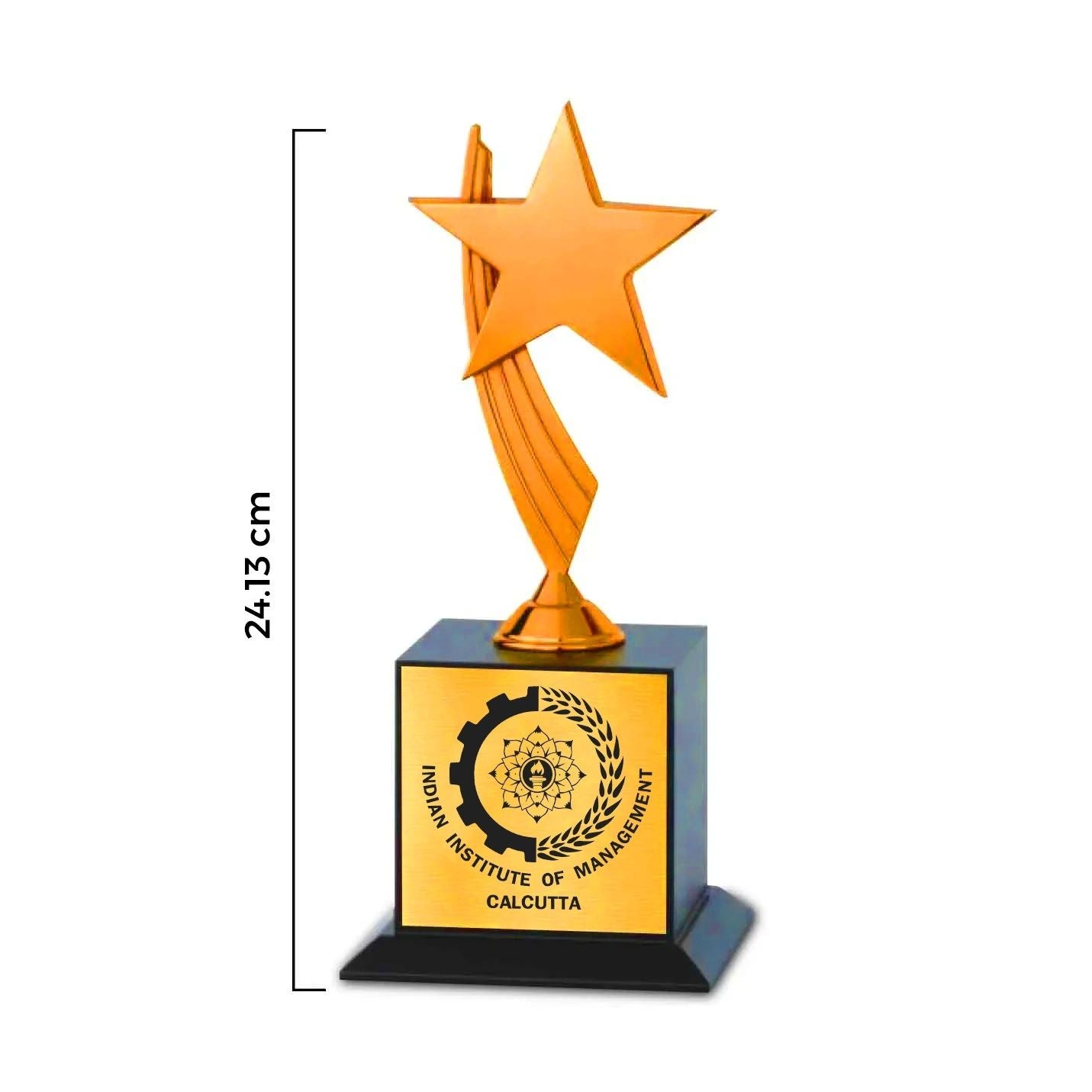 Elegant Compact Bronze Victory IIMC Trophy