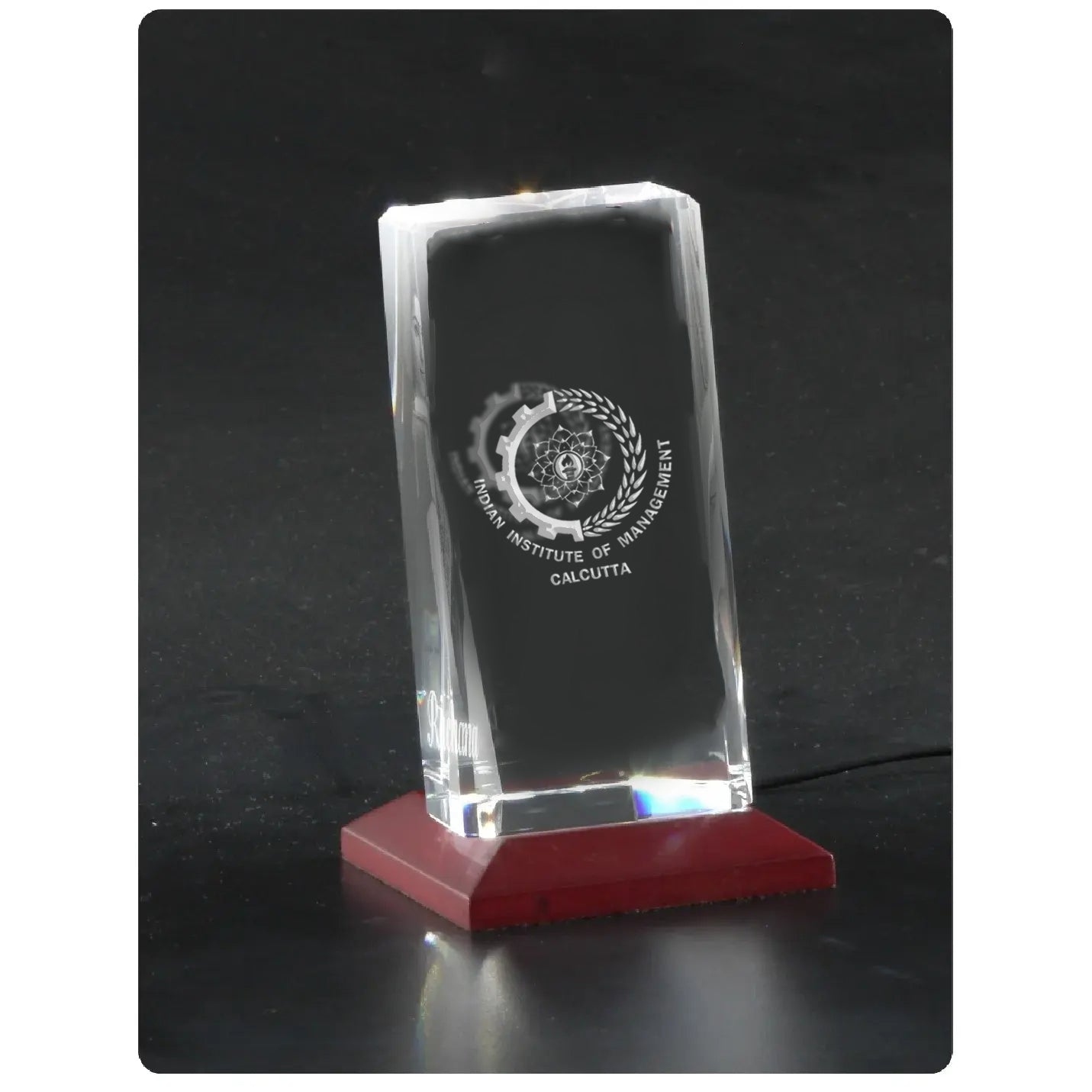 IIMC Official Curved Shape 3D Crystal