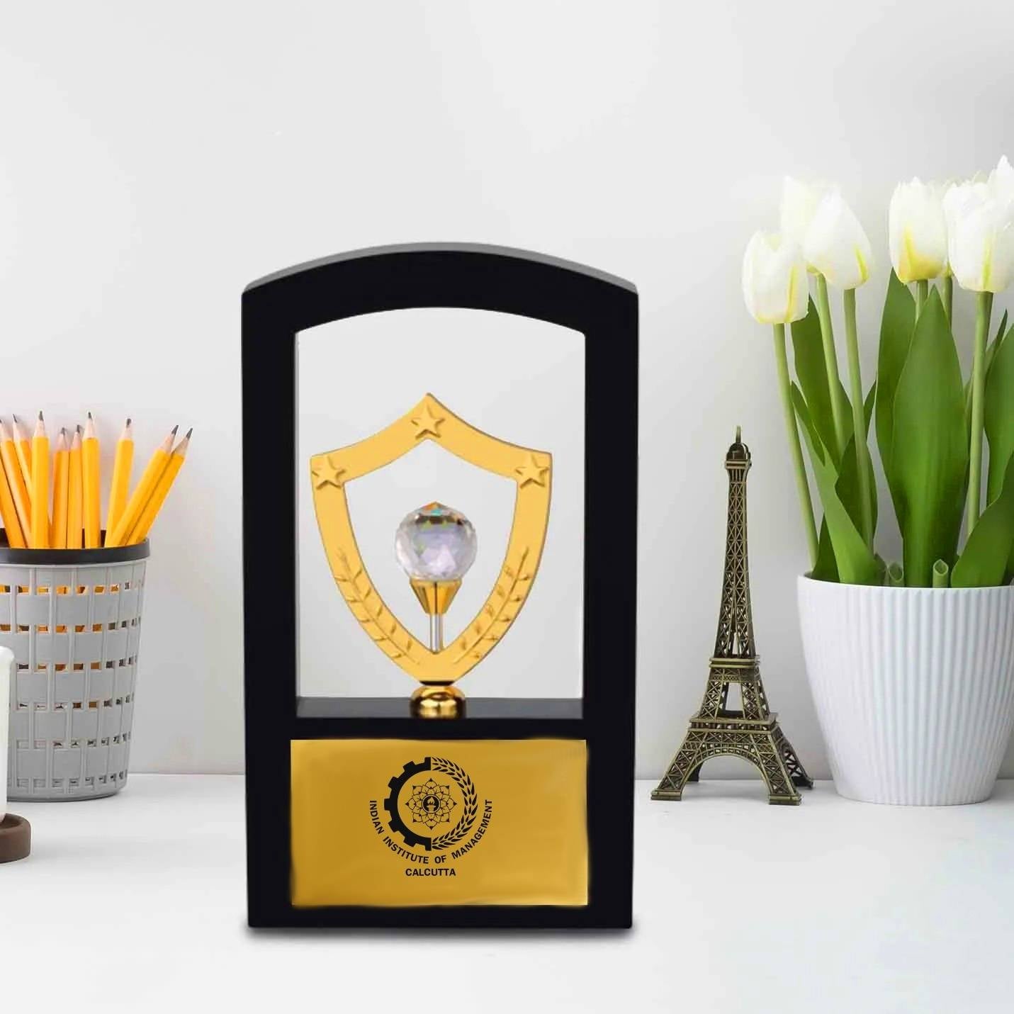 Commemorative IIMC Trophy – 10 Inch