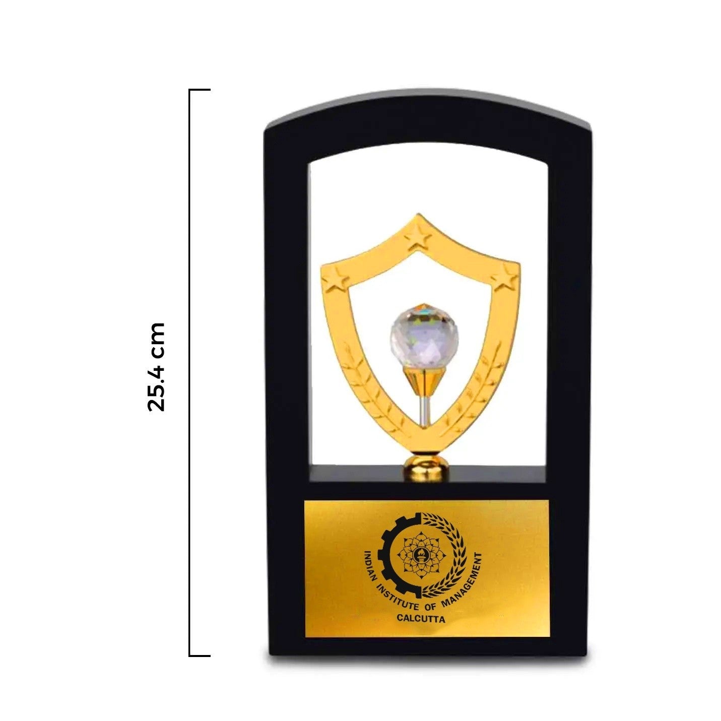 Commemorative IIMC Trophy – 10 Inch
