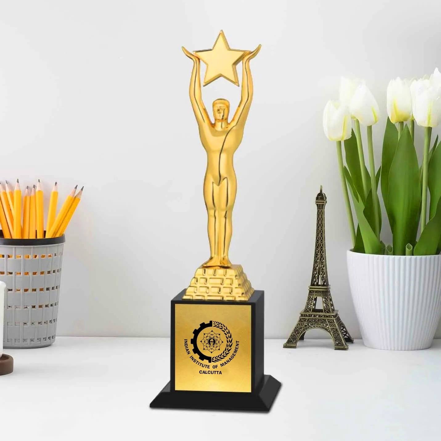 Celebrate Excellence with IIMC Star Trophy – 12 Inch