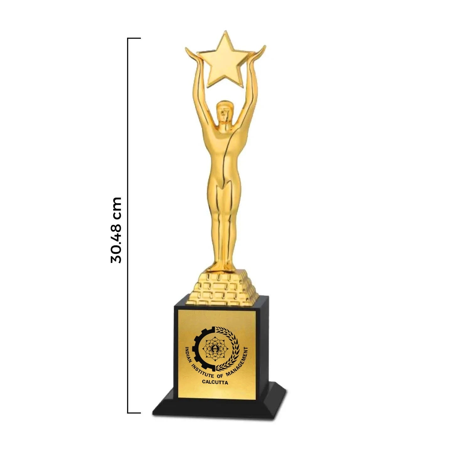 Celebrate Excellence with IIMC Star Trophy – 12 Inch