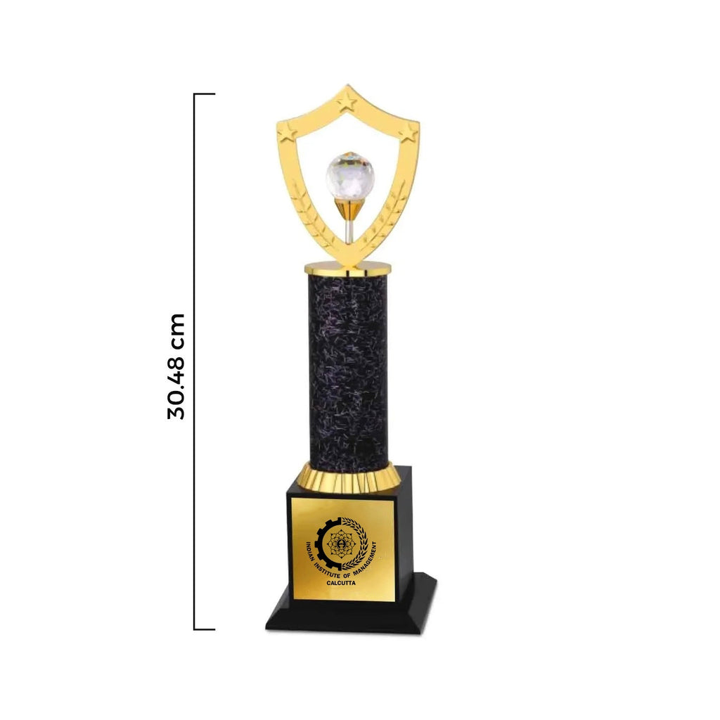 Victory Shield IIMC Trophy 12-Inch