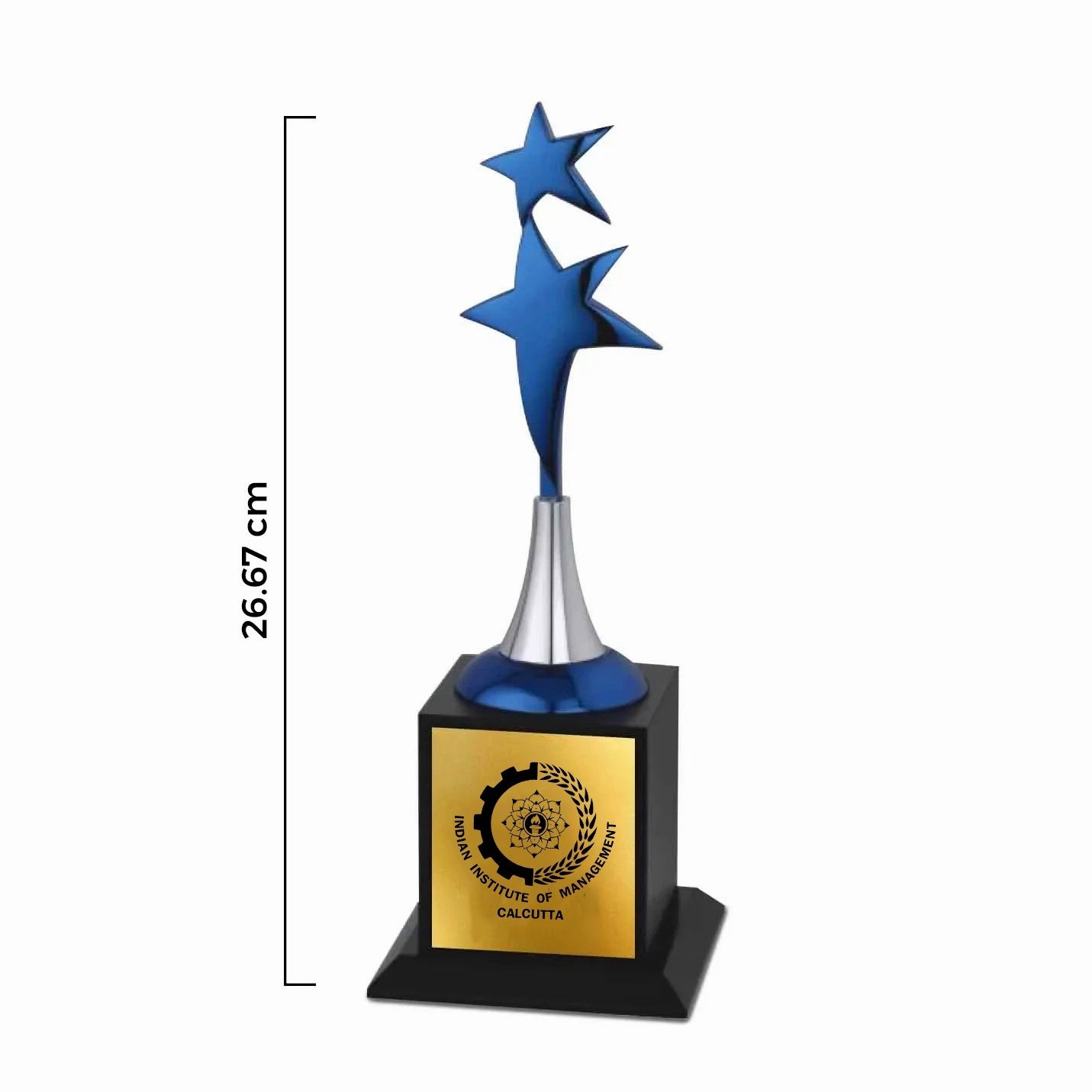 IIMC Twin Star Recognition Trophy–10.5
