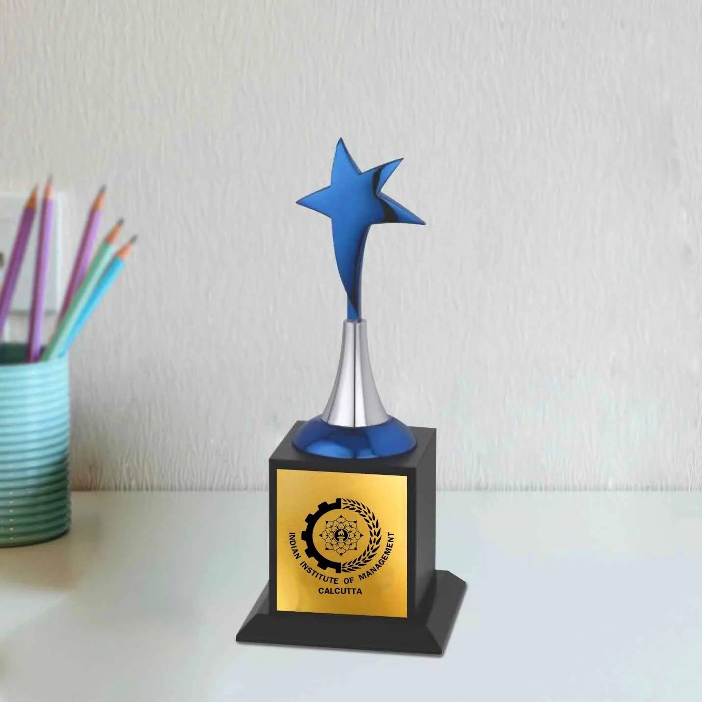 IIMC Star Recognition Trophy – 9.5 Inch