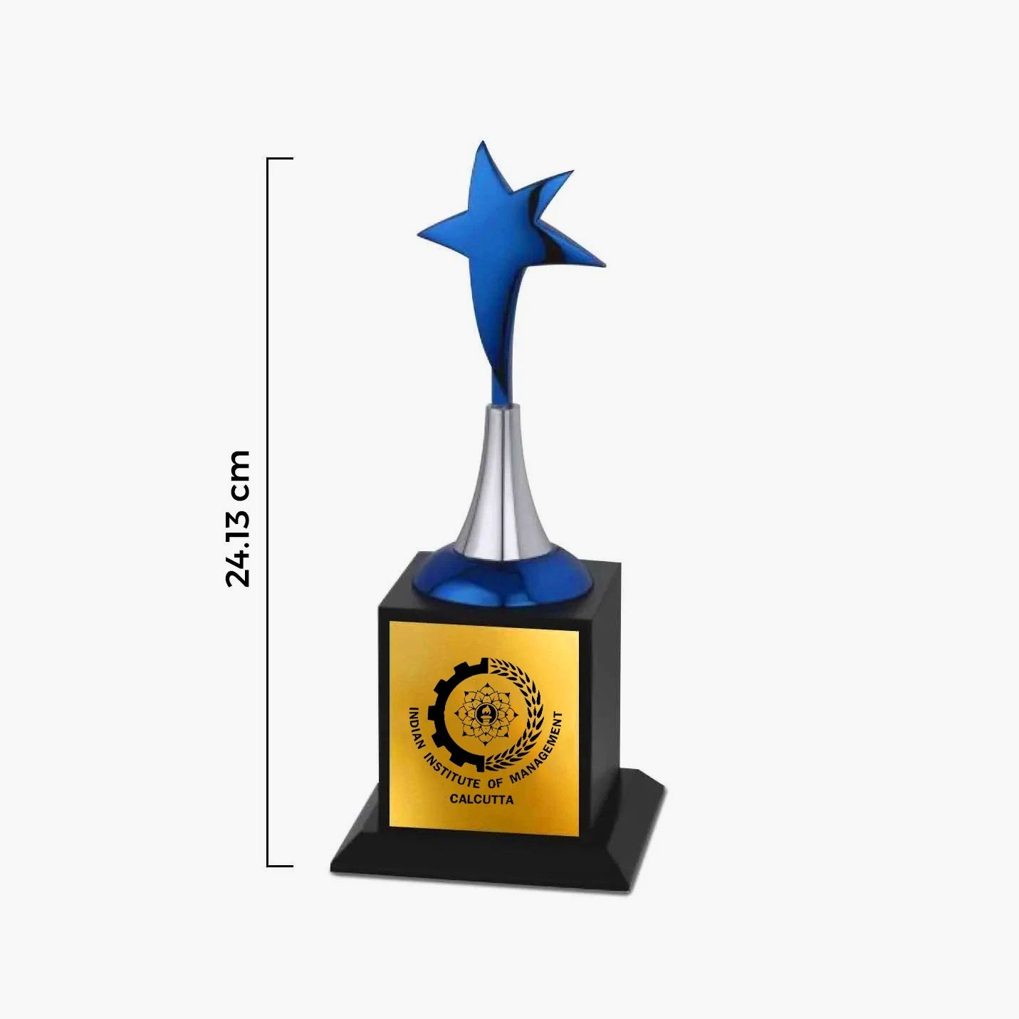 IIMC Star Recognition Trophy – 9.5 Inch