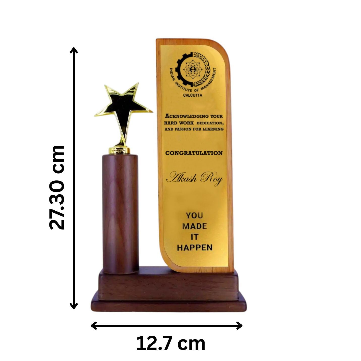 Best-Quality Wooden Trophy with Triumph Metal star ( Size:  27 cm x 13 cm)