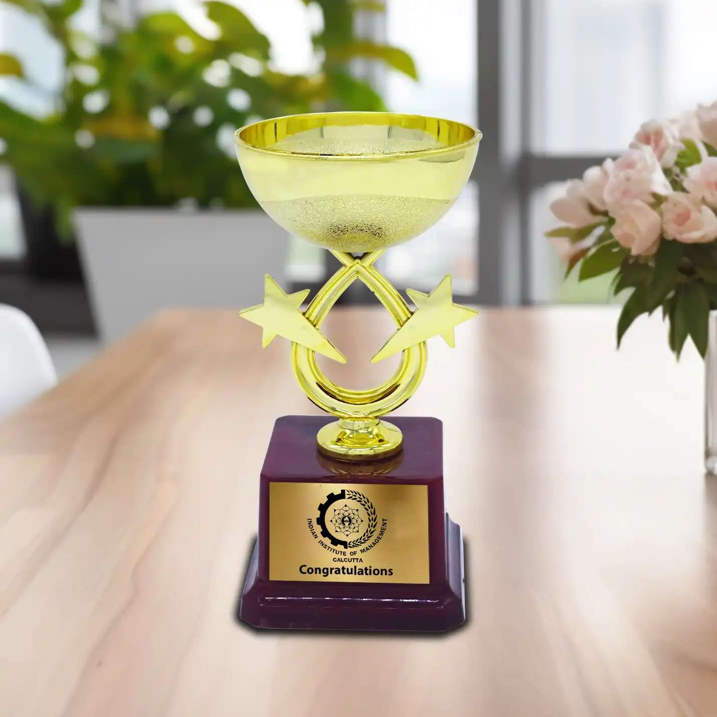 Best-Quality Golden Champion's IIMC Trophy