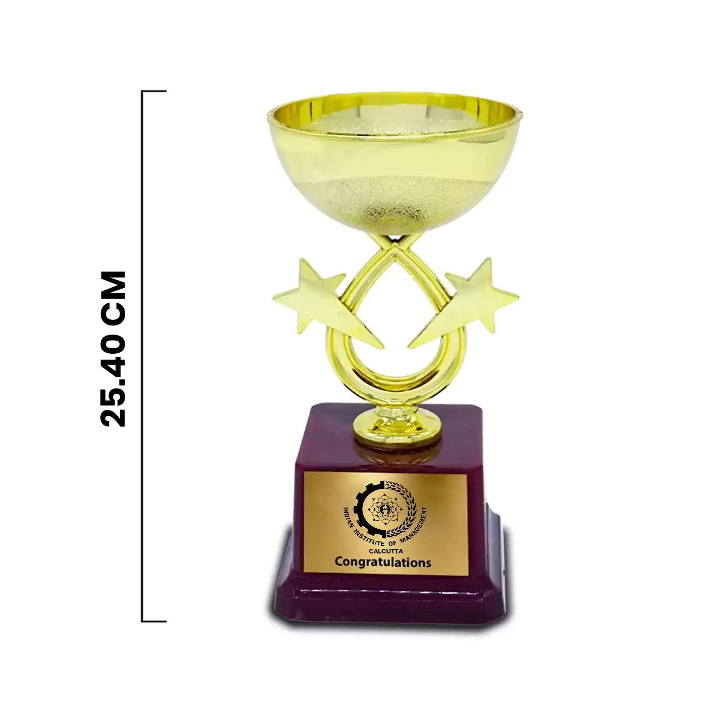 Best-Quality Golden Champion's IIMC Trophy
