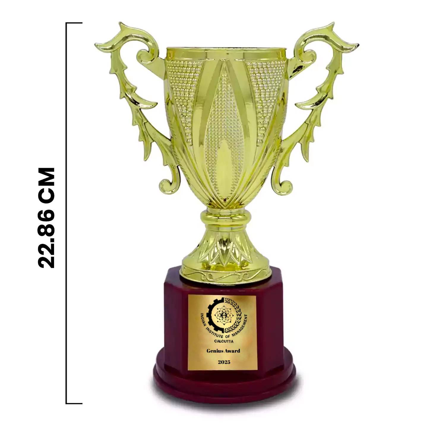 Best-Quality Champion's Golden Triumph IIMC  Trophy