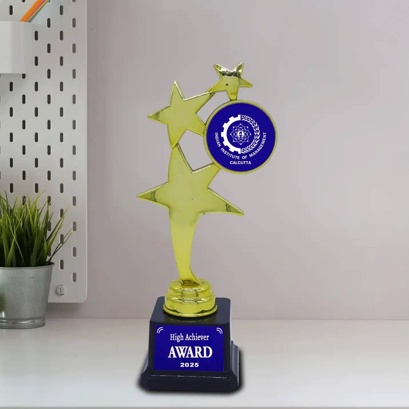 Best-Quality Golden Champion's IIMC Trophy