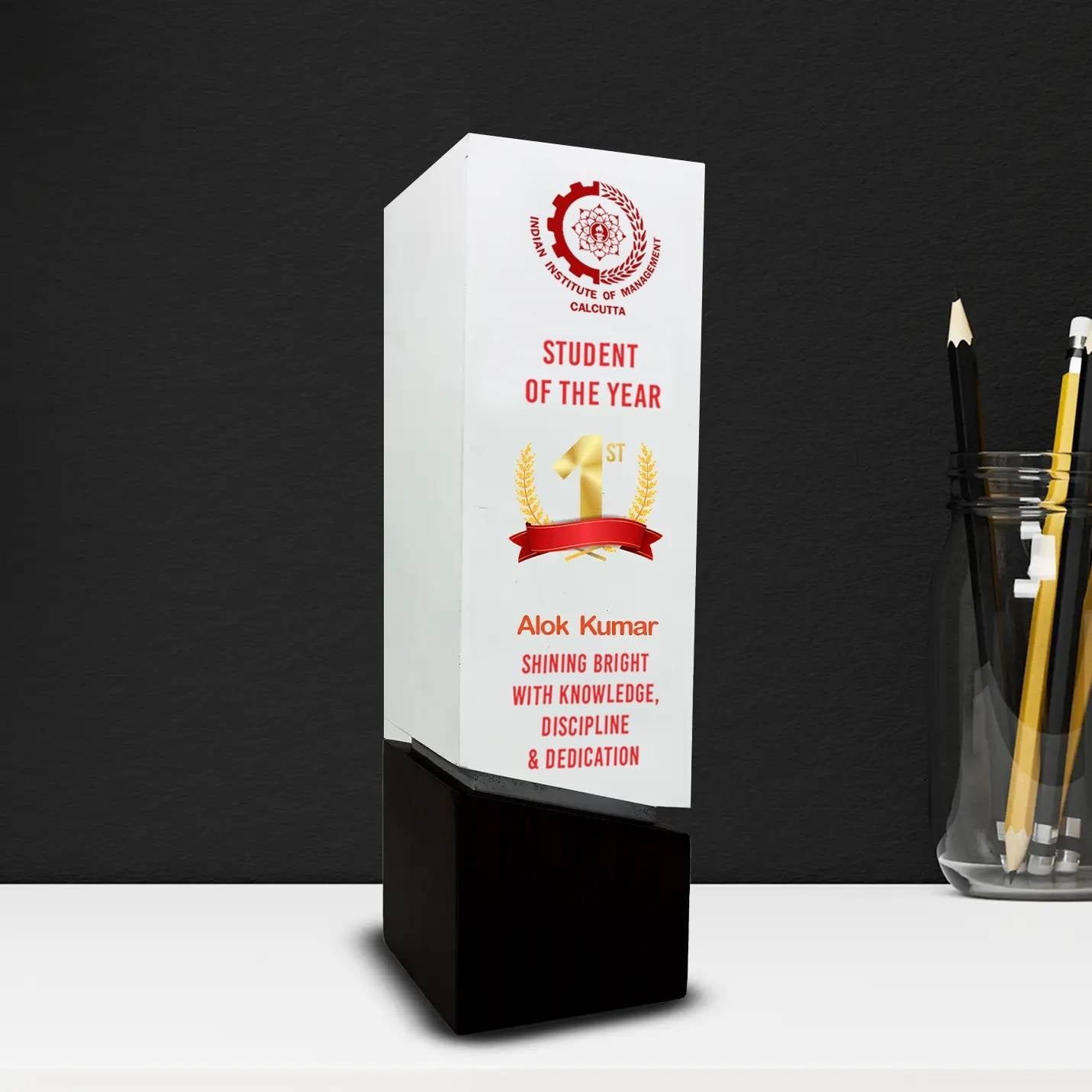 Performance Award IIMC Excellence Trophy