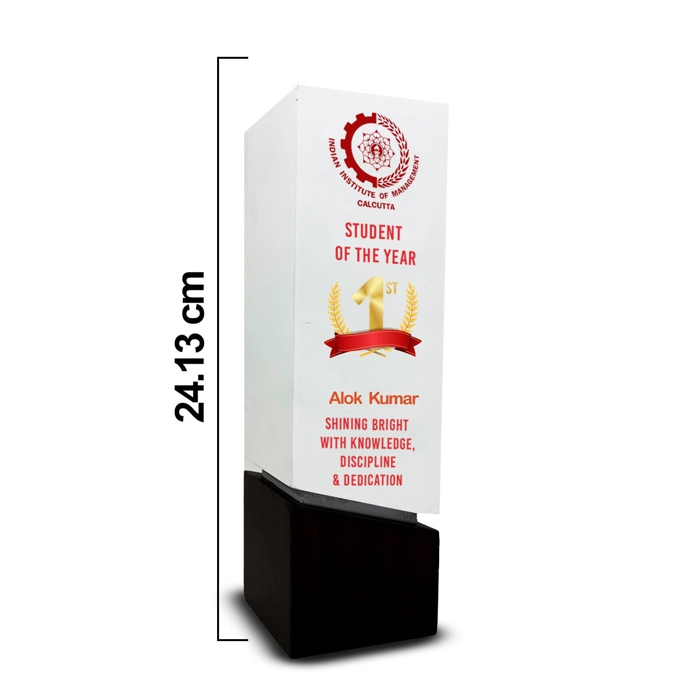 IIMC Excellence Trophy size image